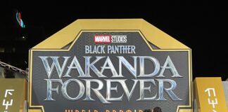 Wakanda Forever Red Carpet World Tour