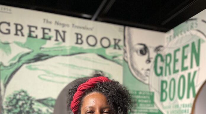 The Modern Day Travel Whisperer Educator