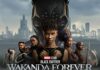 Black Panther: Wakanda Forever is the Sequel Everyone Needed