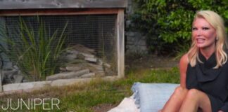 Introducing New Author Juniper Jillian Joy