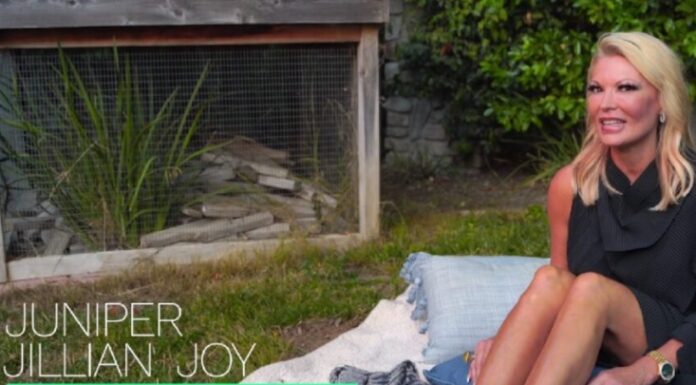 Introducing New Author Juniper Jillian Joy