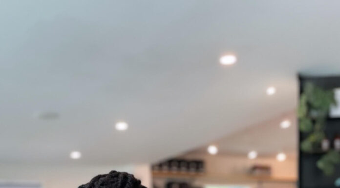 Wellness Influencer Elle Brown Building Generational Health