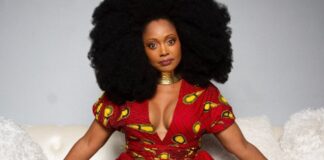 Musician Mavis Swan Poole Releases New Single ‘The Assignment’