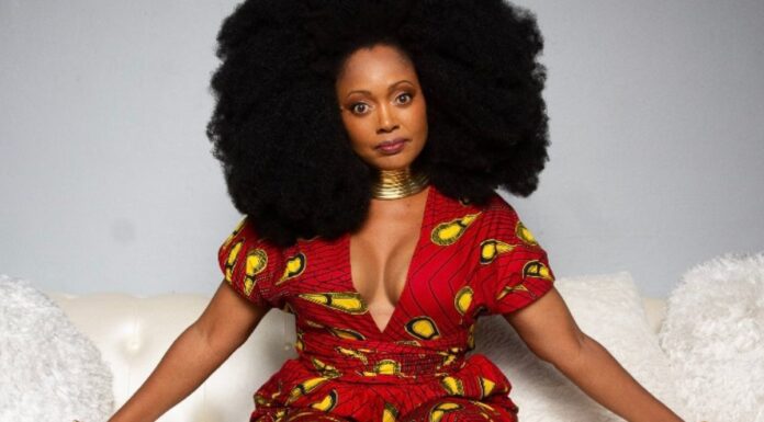 Musician Mavis Swan Poole Releases New Single ‘The Assignment’