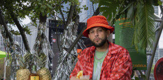 Latin Artists Take Over Sueños Music Festival in Chicago