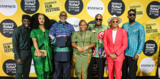 A Triumph for Nigerian Cinema, Recap of Nigeria Day Nigeria Day Essence Film Festival