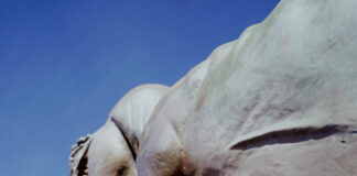 Creative Artist Finished New EP in a Bathroom