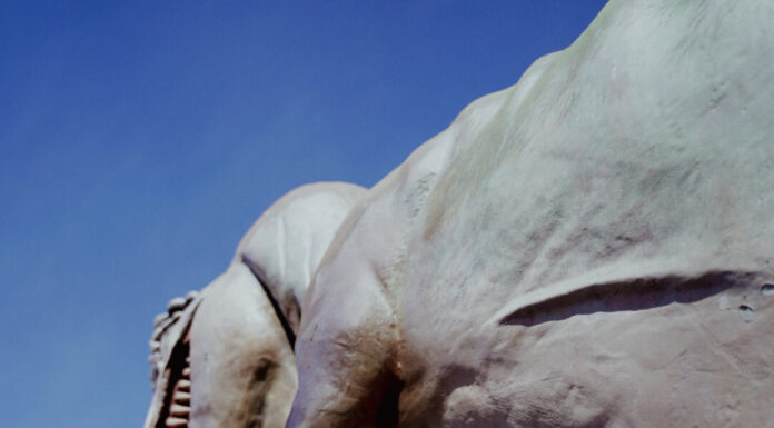 Creative Artist Finished New EP in a Bathroom