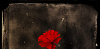 The Fall 2023 New York Theater Lineup