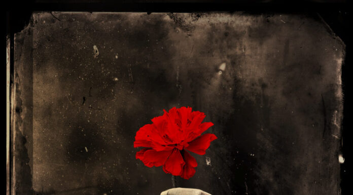 The Fall 2023 New York Theater Lineup