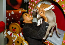 Dogs and Dog Owners Shine During Paws & Pose Event Presented by Frost Bytz