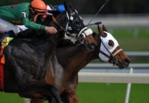 Rising Star Jockeys In Horse Racing