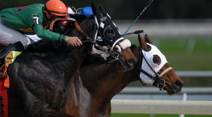 Rising Star Jockeys In Horse Racing