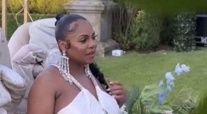 Ashanti & Nelly Shower Baby Hayes with Love in Adorable Safari-Themed Celebration