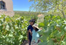 From Lockdown Lunch to Viral Success: Crabby Bags Boils Up a Seafood Sensation