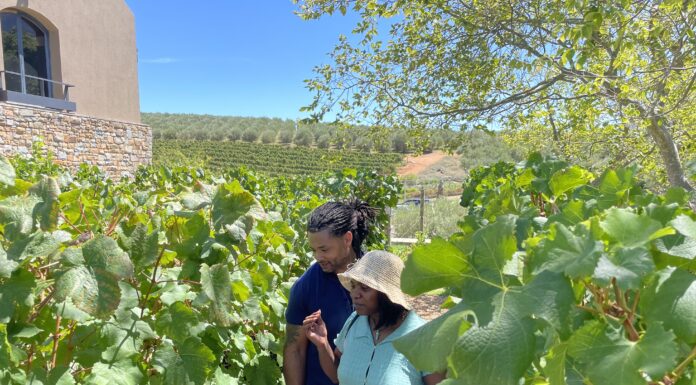 From Lockdown Lunch to Viral Success: Crabby Bags Boils Up a Seafood Sensation