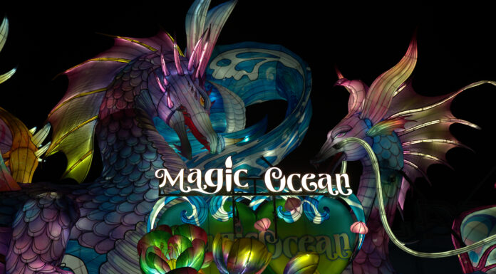 Magical Ocean Adventure: Tianyu Arts & Culture Unveils New Lantern Experience