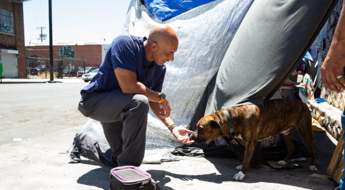 Project Street Vet: Dr. Kwane Stewart Impacts Pets & Unhoused Individuals