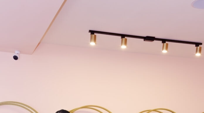 Yerba Buena’s Earth Day Event Celebrates Women Leading Change