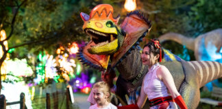 A Can’t-Miss Summer Adventure: Spectacular Chinese Lantern Festivals Light Up Cities Nationwide