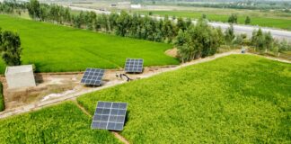 Exploring Surface Solutions with Sustainability in Mind