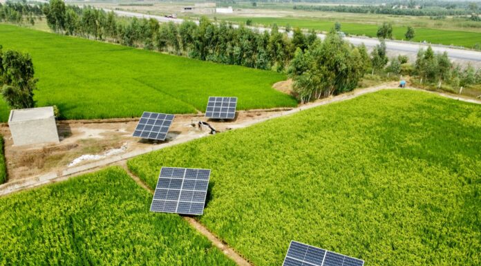 Exploring Surface Solutions with Sustainability in Mind