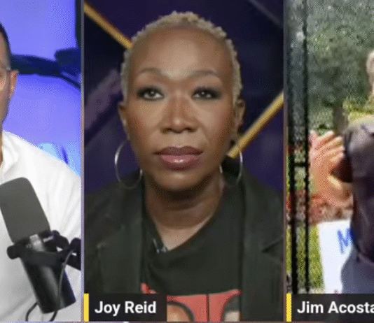 Echoes of Defiance: How “No Kings Day” Protests, Covered by Joy Reid and Allies, Resonated Nationwide