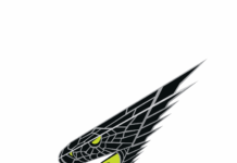 The Skateboard Association (SBA) Unveils Inaugural Team Identities & Mascots