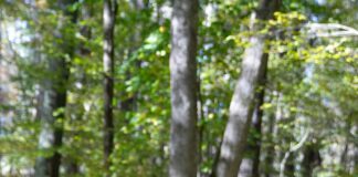 A Sanctuary for Art: How Daya Yoga Studio Builds Strong Community Yoga